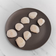 Sea Scallops